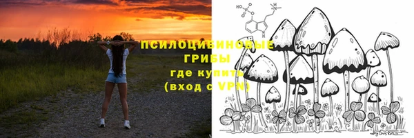 прущие крисы Аркадак