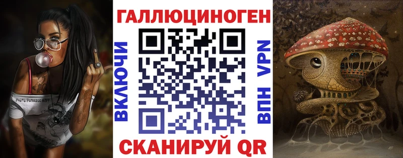 сколько стоит  Туринск  Псилоцибиновые грибы Psilocybe 