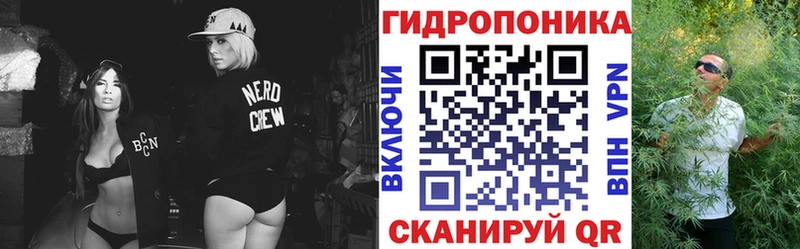 Бошки Шишки THC 21%  купить   Туринск 